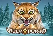 Wild North