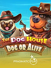 The Dog House - Dog or Alive